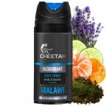 Dezodorant dla mężczyzn, antyperspirant, niebieski